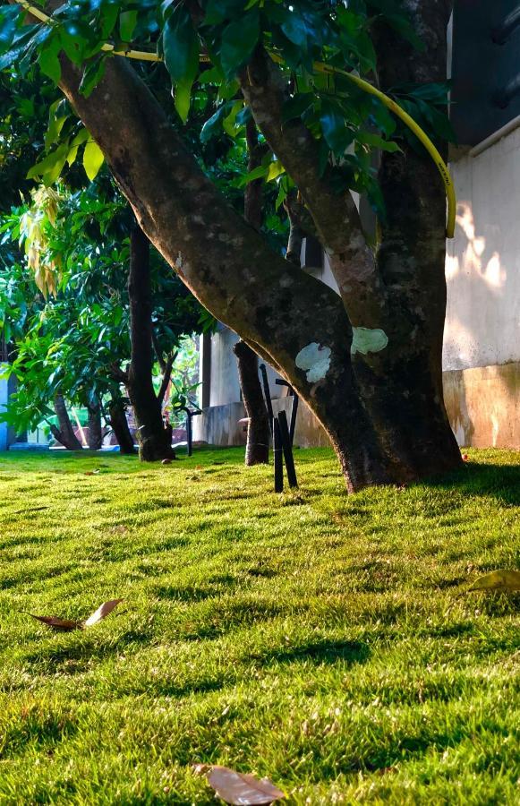 Royal Residency Apartment Tindummal Exterior photo